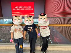 -天津市规划展览馆