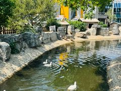 -东方时尚驾校(总部)