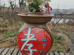 -空港花田景区