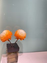 -MIDA蜜哒•科技逆龄美肤连锁