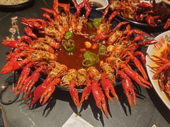 -红盔甲·小龙虾(人民广场店)