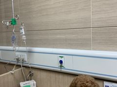 -北京观赏动物医院·24小时大型综合·猫专科·异宠专科