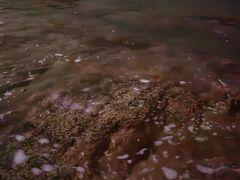 -青岛第三海水浴场