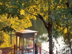 -西安汉城湖景区