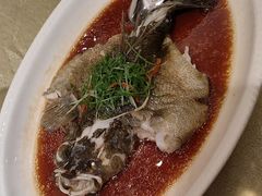 -金美华轩(东方路齐鲁店)