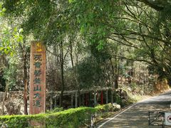 -大屏嶂森林公园