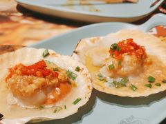 烤生蚝扇贝-馋嘴猫北京食堂·烤鸭·宵夜(亚运村店)