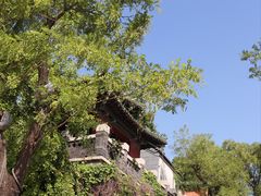 -济南大明湖景区