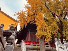 -宝通禅寺