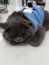 -镁连社·美联社