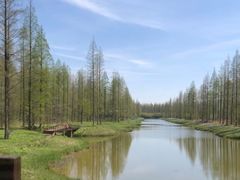 -黄海国家森林公园