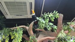 -Zoolung Zoolung动物主题公园(海信广场店)