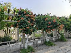 -百花洲