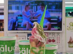 -Salud撒露欧洲冻酸奶(五道口购物中心店)