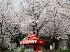 -堤角公园