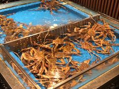 -蟹将军·松叶蟹和牛日料放题自助(K11店)