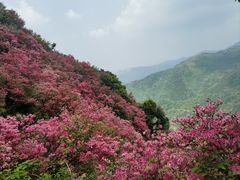 -木兰云雾山