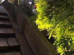 -东伊顺(高银街店)