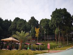 -仙海旅游度假区