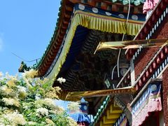 -塔尔寺