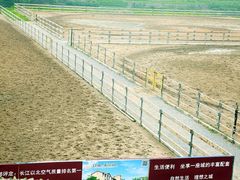 环境-月河湾马术俱乐部(朝阳店)