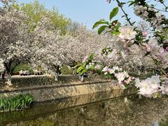 -元大都城垣遗址公园