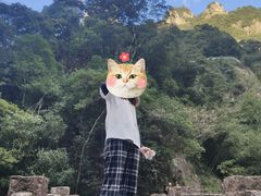 -龙湾潭国家森林公园