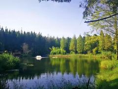 -黄海国家森林公园