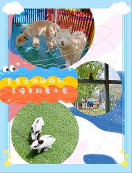 -萌宠亲子动物乐园(槐房万达店)