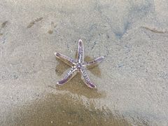 -青岛第三海水浴场