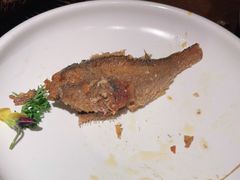 -前海沿·青岛菜(大拇指广场石老人店)