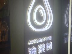 -油梨树AVOCADO TREE(望京店)