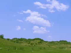 -关山草原