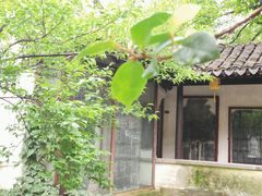 -常熟方塔园
