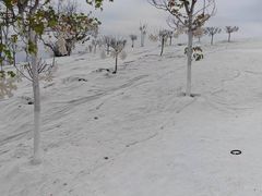 -盈香心动乐园