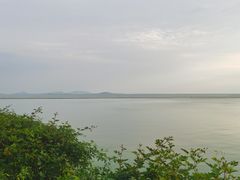 -贡湖湾湿地公园