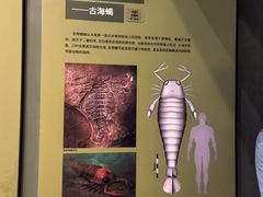 -天津自然博物馆