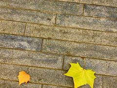 -星巴克(天津五大道店)