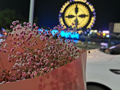 -琴岛之星摩天轮