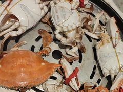 -半岛听涛蒸汽海鲜自助(K11店)