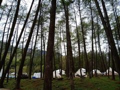 -硗碛藏寨·神木垒景区