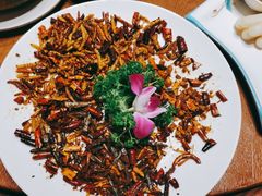 -老滇山寨•云南特色菜•地方菜•民族风情歌舞表演(金碧店)