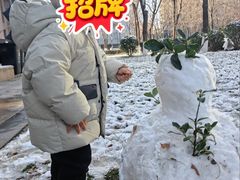 -石家庄市裕华区森尼万达幼儿园