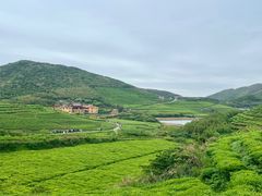 -嵛山岛