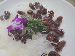 -即墨印象