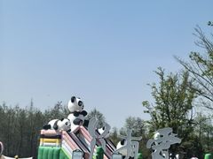 -荷兰花海