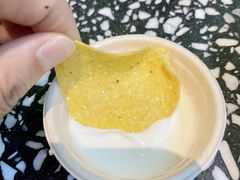 -油梨树AVOCADO TREE(顺义新国展店)