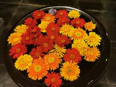 -THAI OASIS SPA 绿洲泰疗泰式按摩SPA