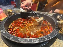 -销魂美蛙鱼头火锅(上海首店)