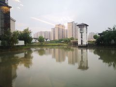-汤记传菜(浦江店)
